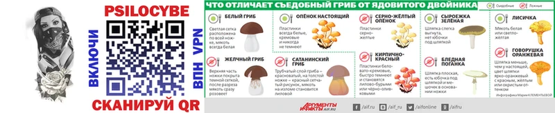 omg сайт Гай Галлюциногенные грибы Cubensis