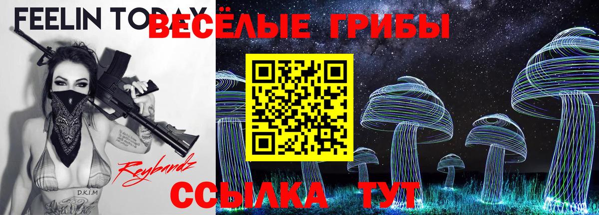 Псилоцибиновые грибы мухоморы Гай