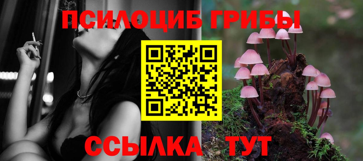 Псилоцибиновые грибы GOLDEN TEACHER  Вход с VPN  цена   Гай 